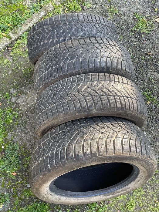 Зимни гуми Nexen