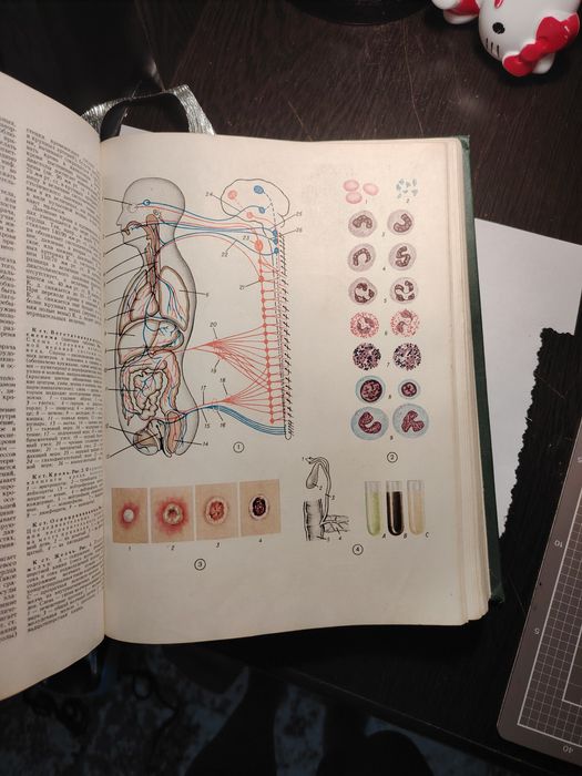 Медицинская Энциклопедия