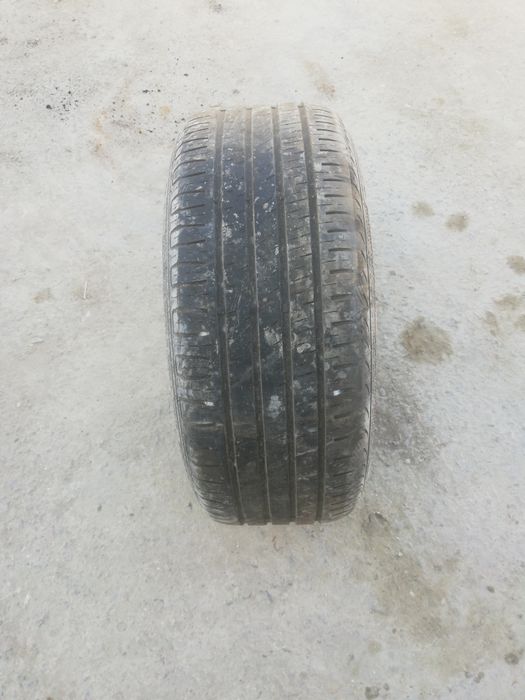 Авто шины легковой