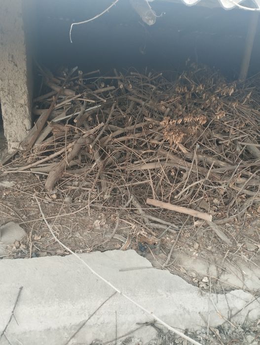 Утин драва сотилади