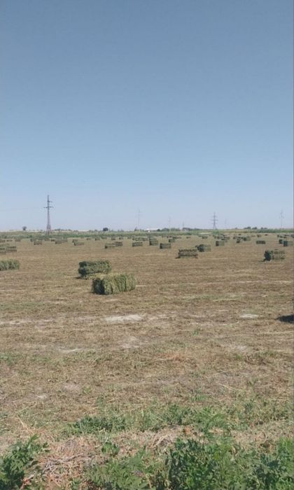 Жугори прес сотилади