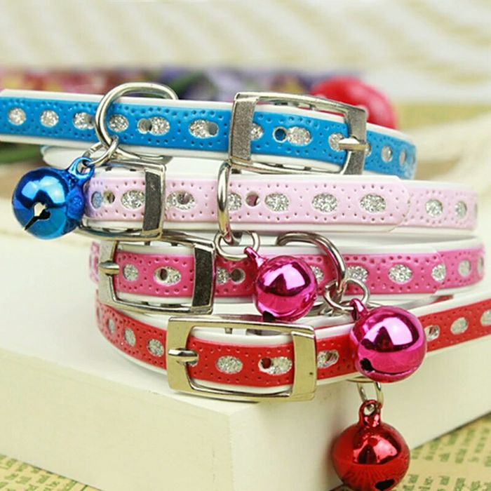 Ошейник для кошек и маленьких собак