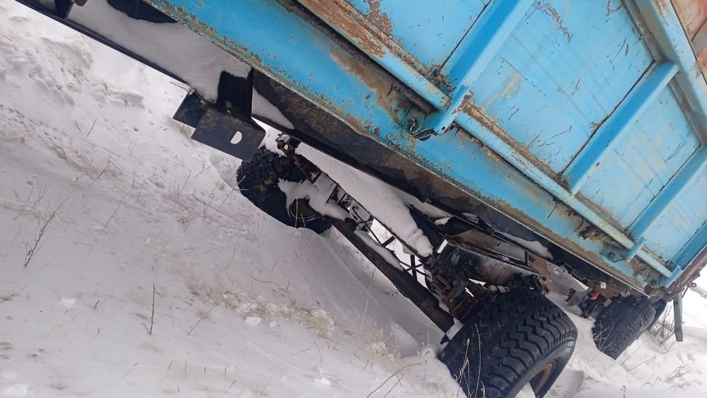 Прицепы птс двенацать