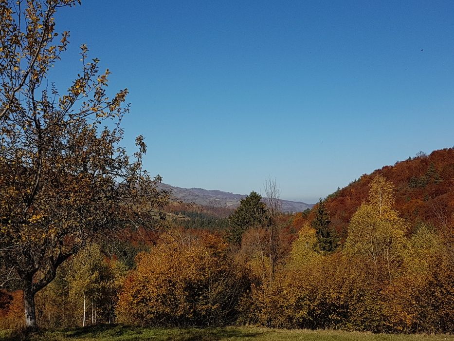 Teren la munte poiana marului brasov