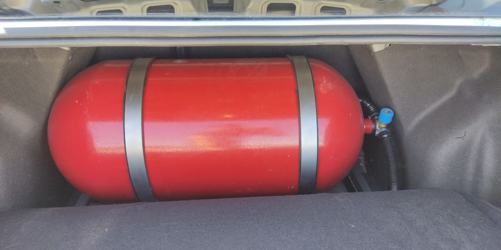 Соболт 2024, 4 поколения метан, 4 та арча болон, биринчи номер олинган