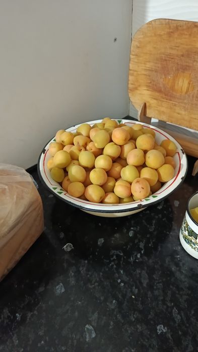 Продам абрикосы местные можете брать из дерева