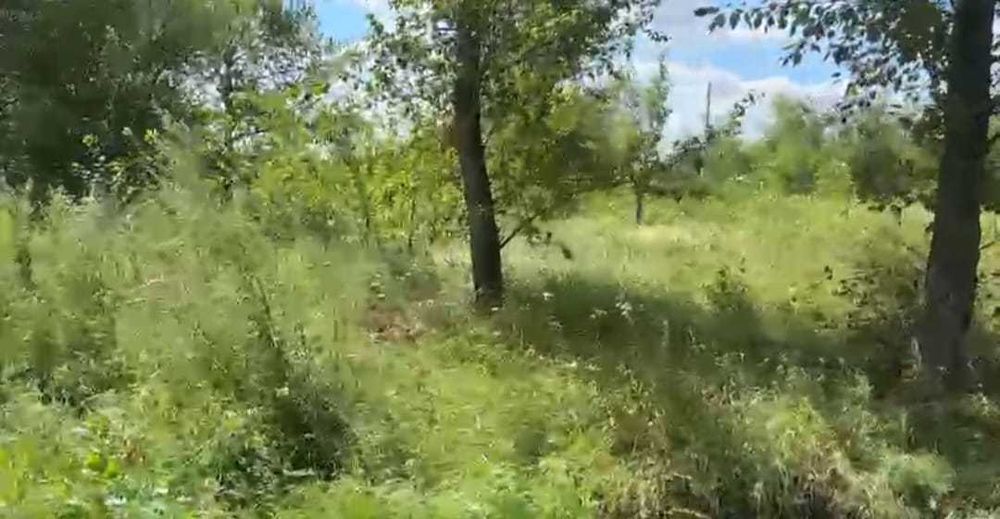 земельный участок