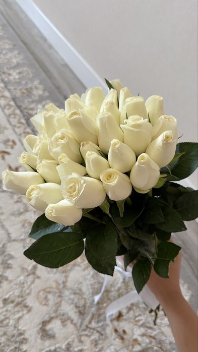 33шт ак роза,свежий