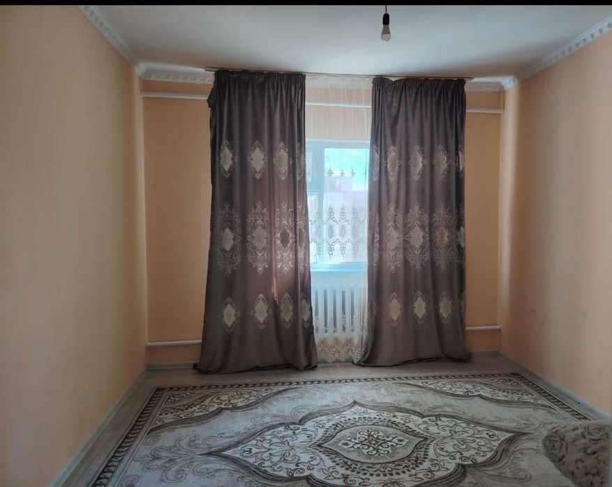 Үй жақсы таза ауласын да жеміс ағашы бар