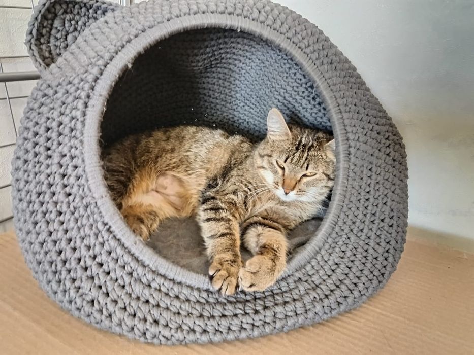 В ответственные руки