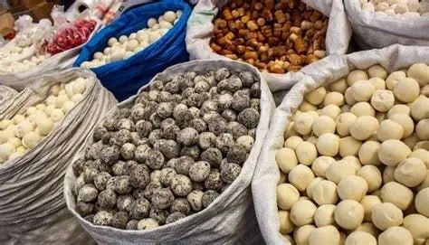 Қурт маҳсулотлари етказиб бериш хизматлари