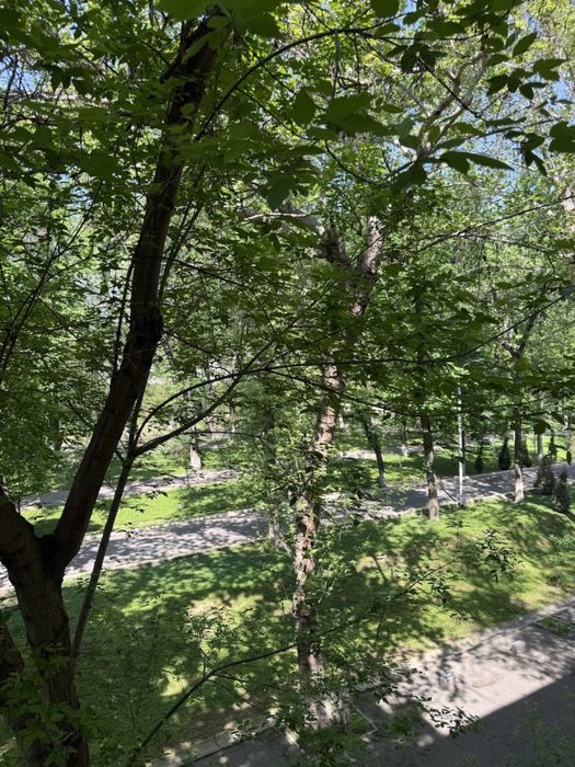 Сдаётся уютная и современная квартира