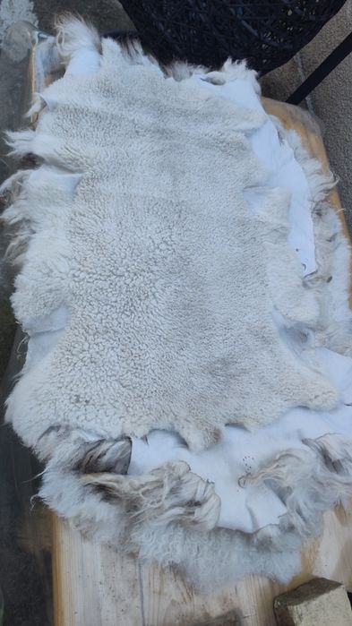 Piei de miel de vânzare