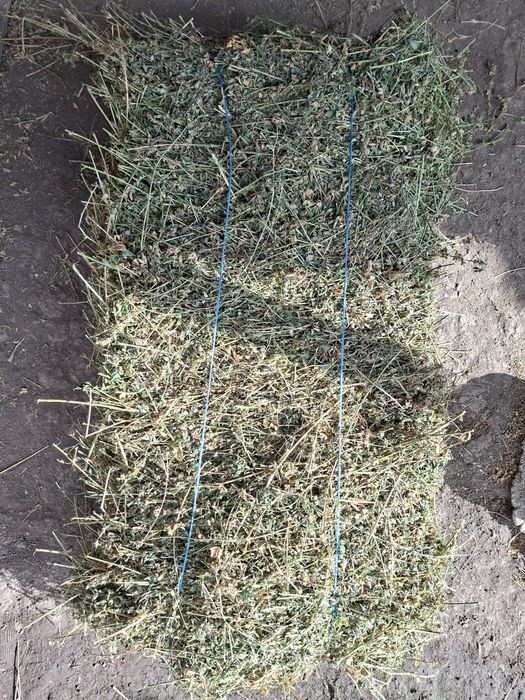 Vand baloti de lucerna