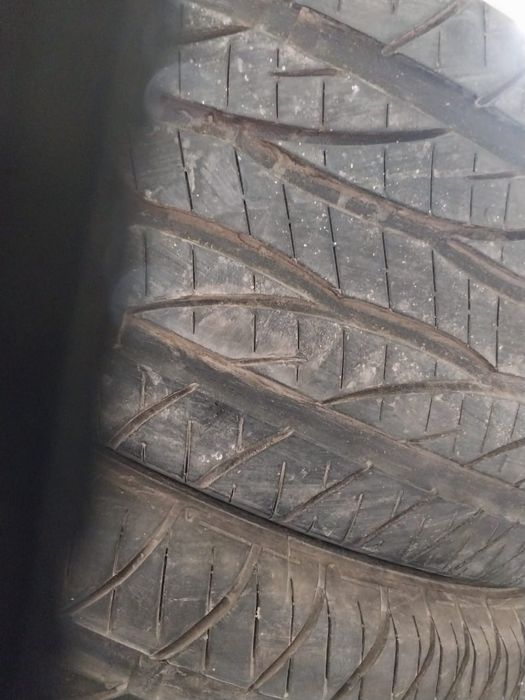 Продам шины  Dynlop