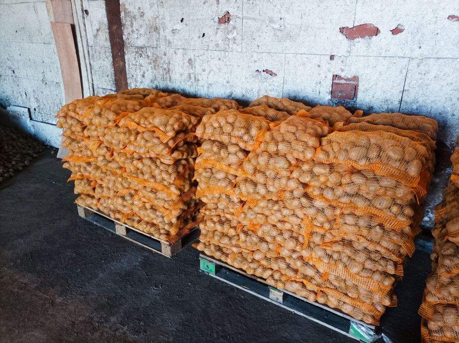 Картофи Сорая от Самоков