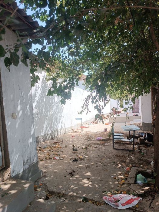 Hovli ijaraga beriladi