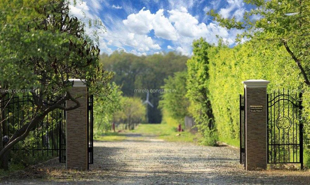 Loturi constructie intre 80-95 Euro/mp - Afumati, Strada Padurii