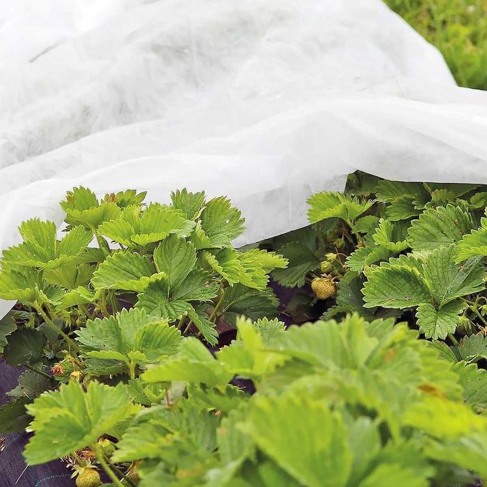 Агроспан (укрывной материал в рулонах)