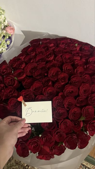 101 Роза свежие продам
