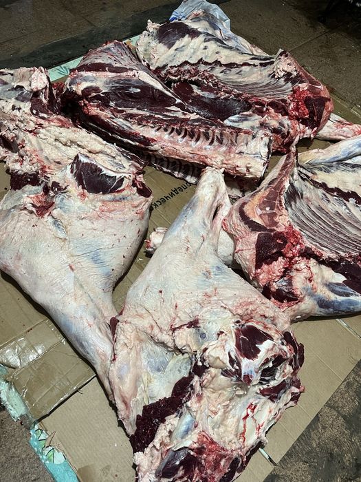 Говядина молодняк каждый день свежий забой.