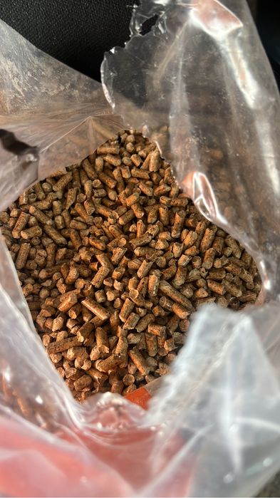 Peleti-pelet certificat.   a1