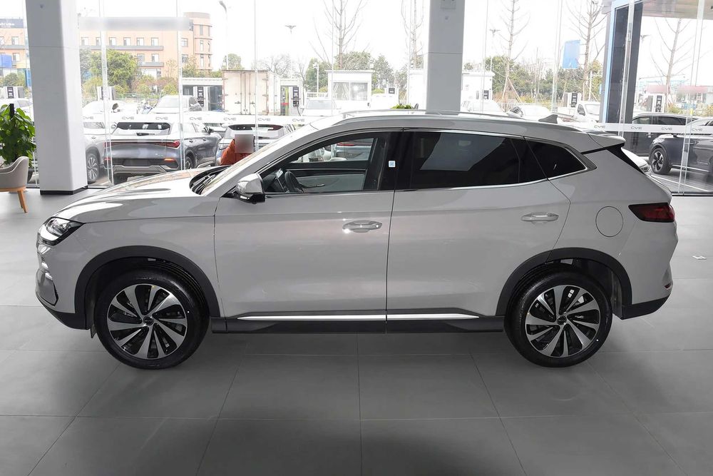 Byd Chanpion pod zakaz