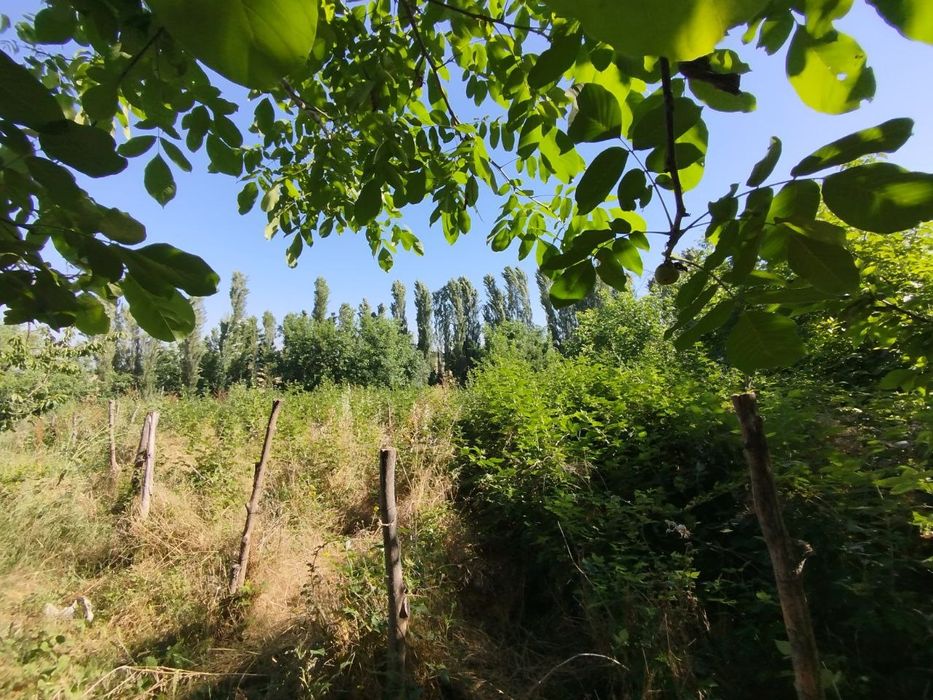 Ховли үй сотилади