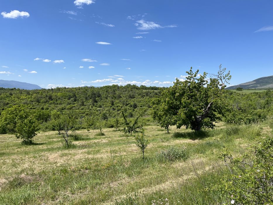 Продава се Земеделски имот в с. Таваличево, Област Кюстендил -  кв.м за 2 €/дка - Снимка #2