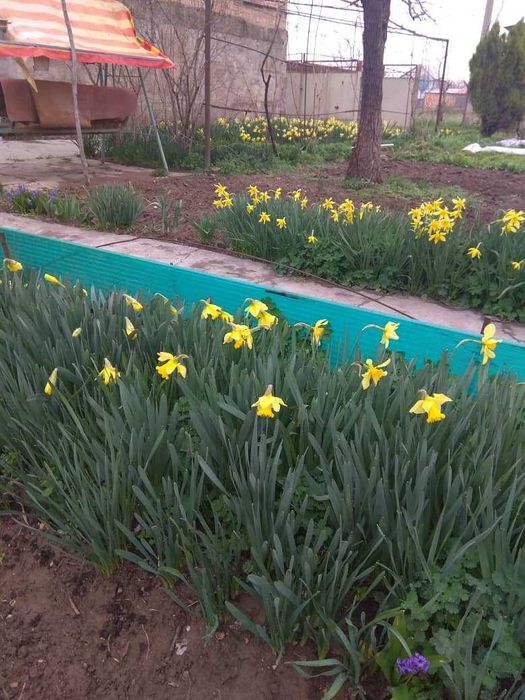 Продается земельный участок с жилым домом