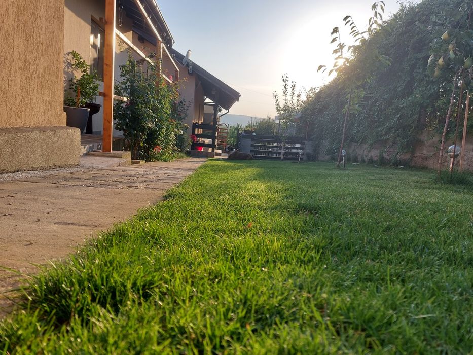 Gazon rulou sisteme de irigat