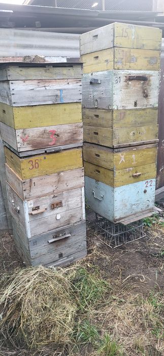 Ульи для пчёл, корпуса, рамки