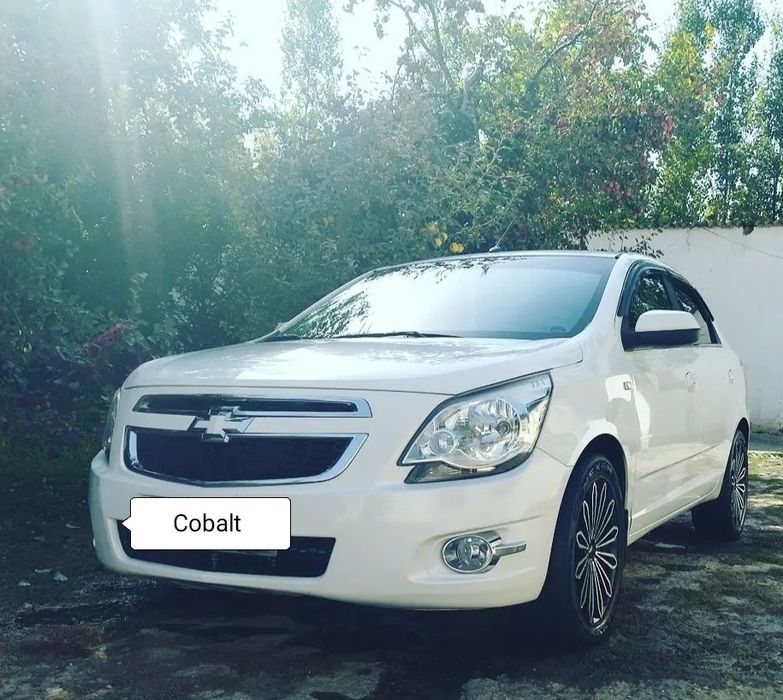 Cobalt sakadiskasi R17