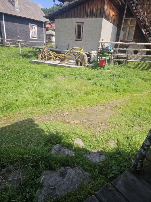 Vind sau schimb faeton