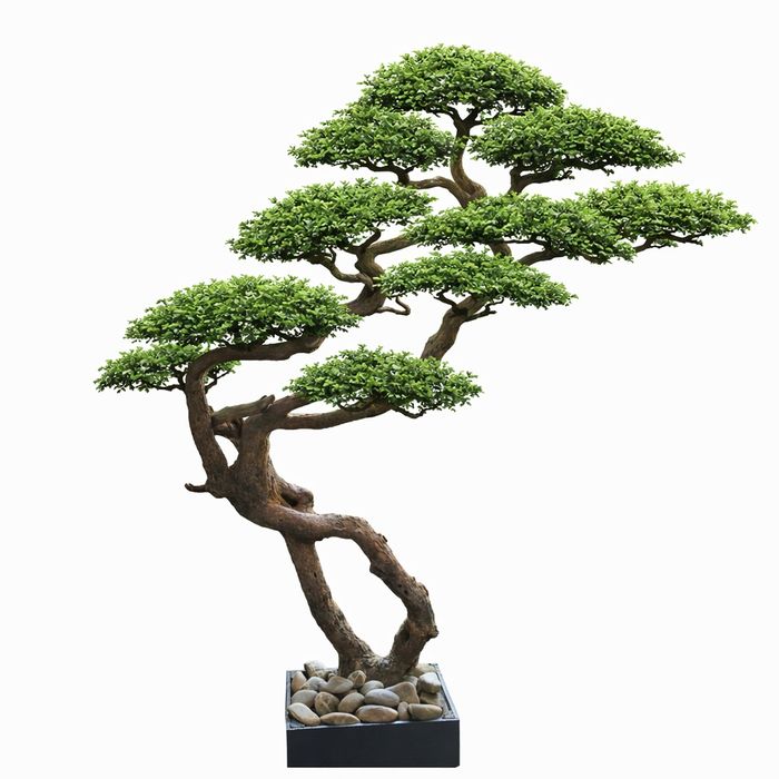 Copac Bonsai natural cu frunze artificiale