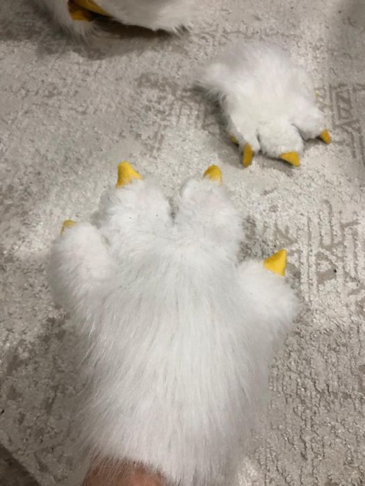 фурри фурсьют дракон