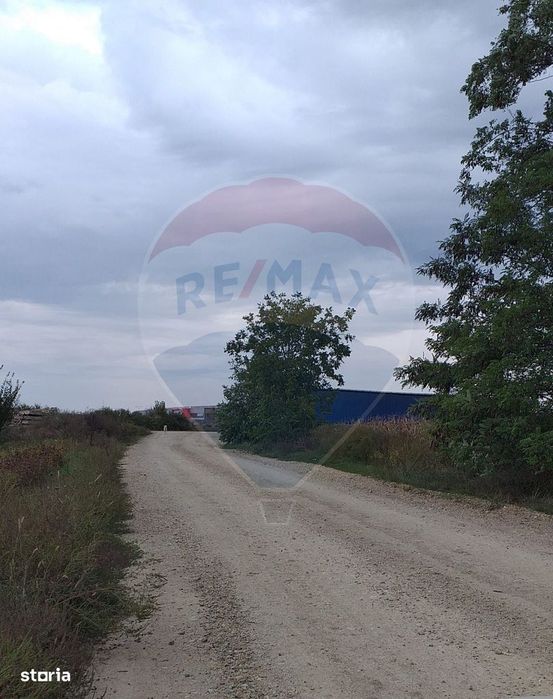 Teren extravilan 3000mp de vânzare la Sântion
