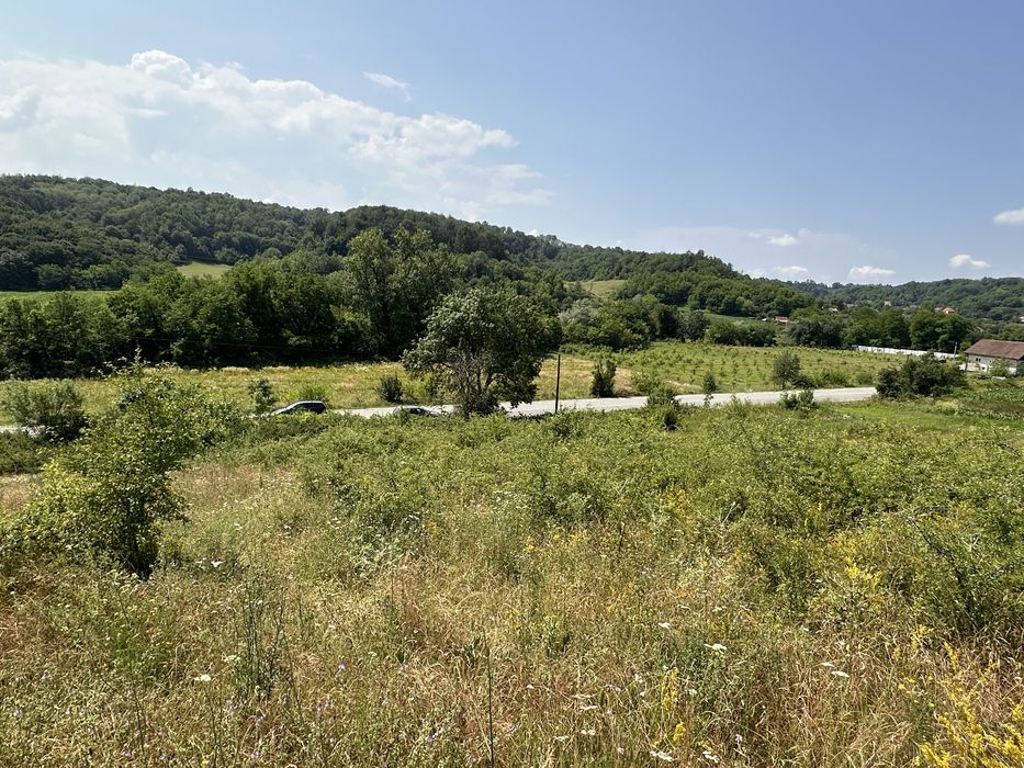 Teren intravilan 6.000 mp de vânzare – acces direct la DN67