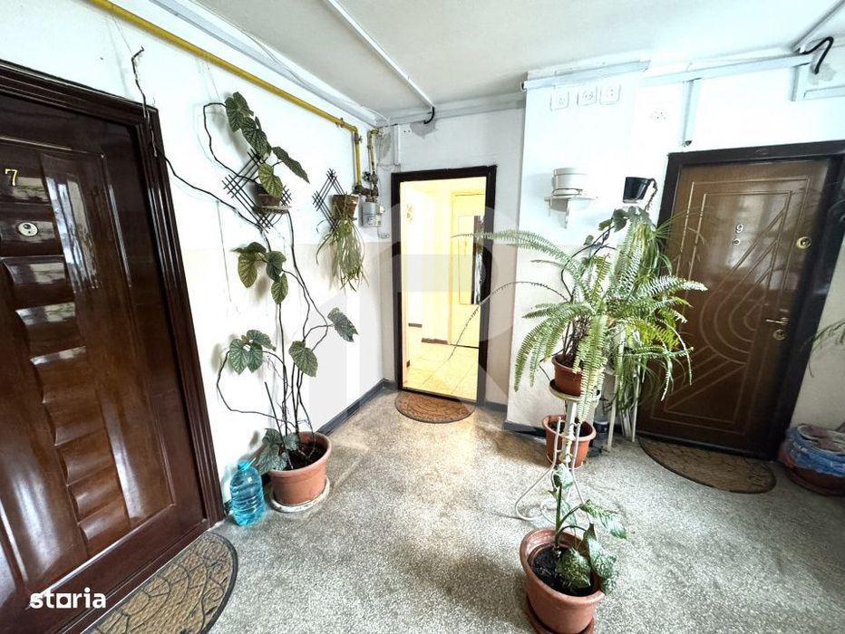 de inchiriat apartament 2 camere, Nord, Judetean, Cameliei