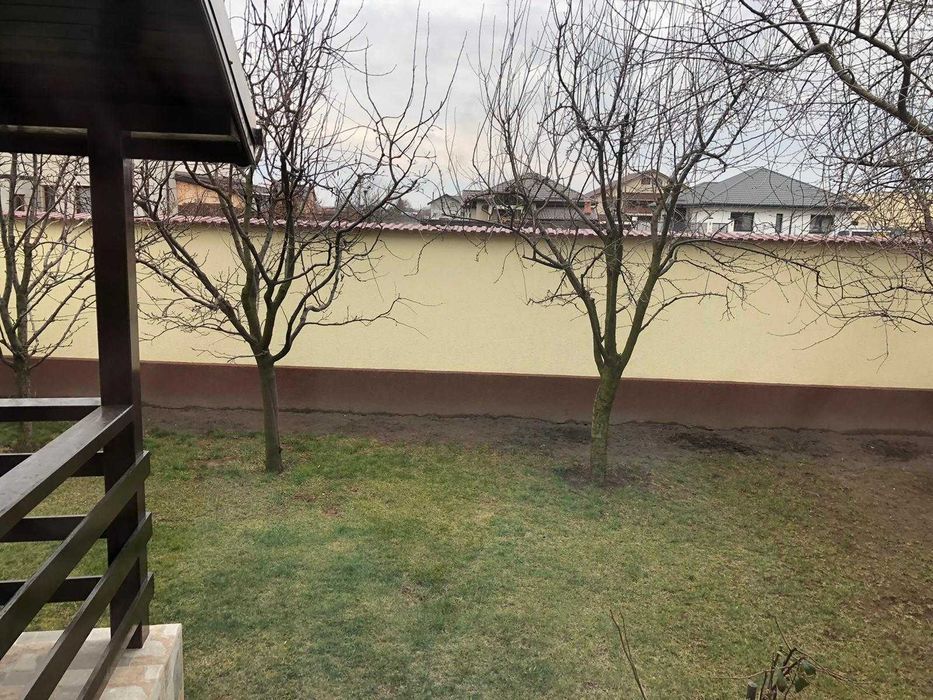 Taieri pomi  fructiferi -curti,gradini