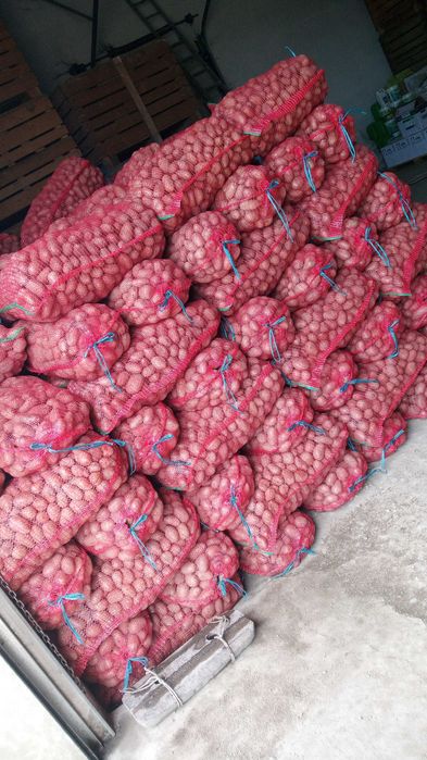 Samanta castofi samanta