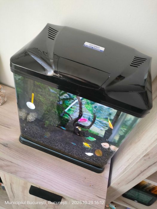 Acvariu 35 litri