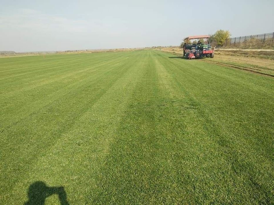 Gazon rulou sau insamamtare