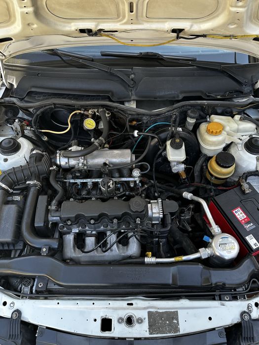 Nexia2 super kandisaner