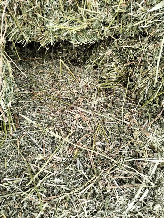 Baloti de lucerna si lucerna cu fin,iarba  și paie de grau