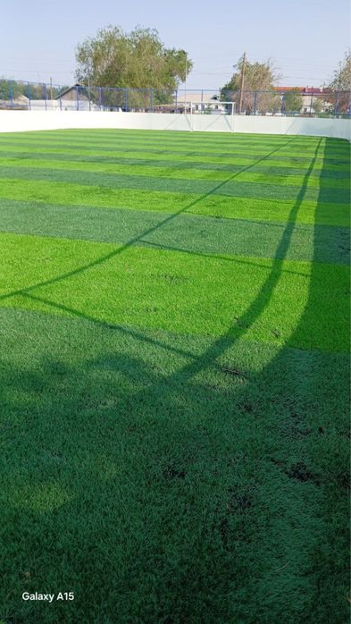 Mini stadion xizmatlari