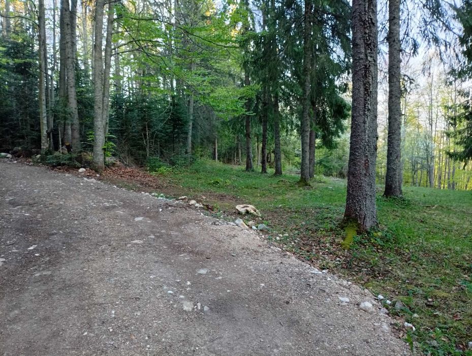 Vând teren în comuna Gârda de Sus