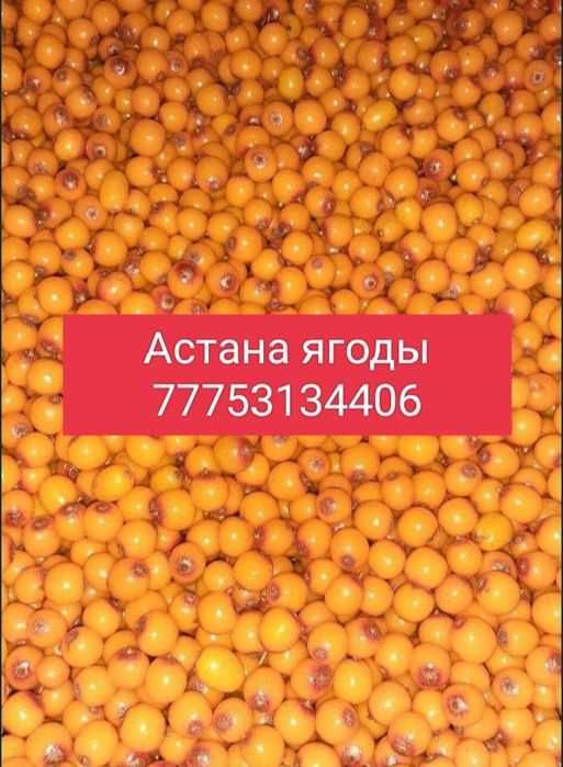 Облепиха Облепиха Облепиха