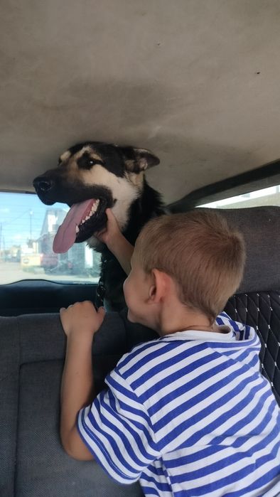 Ждёт невес крупный жених.