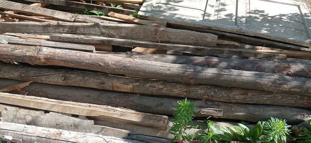 Кругляк жагдайы орташа, коп колемде